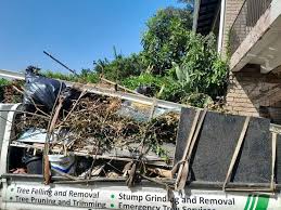 Best Garage Cleanout  in Ivanhoe, CA